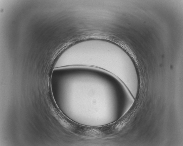 X0000087400397200704200958