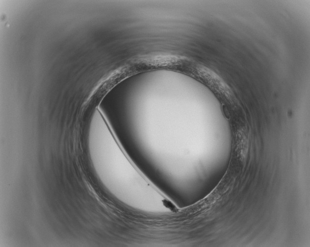 X0000087400400200704200958