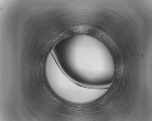 X0000087400416200704200958