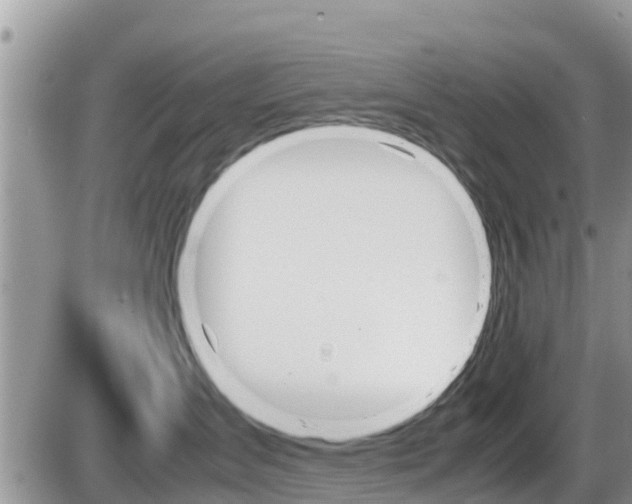 X0000087400431200704200957