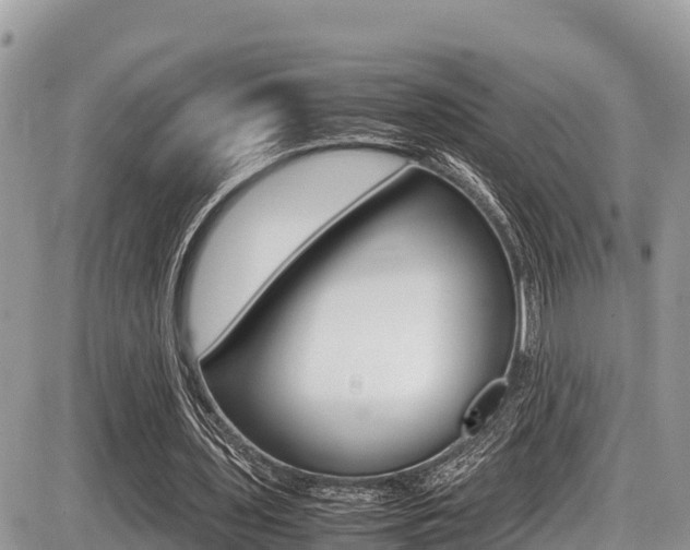 X0000087400435200704200956