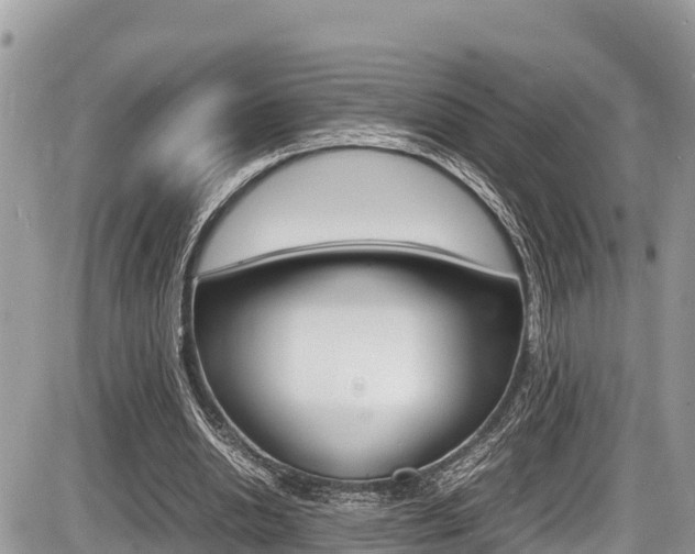 X0000087400438200704200957