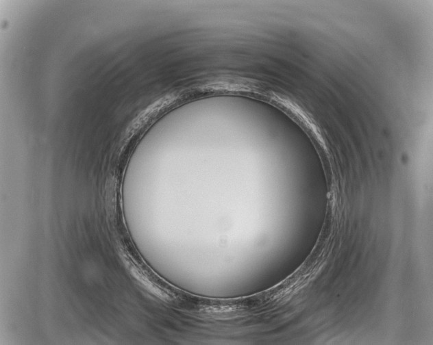 X0000087400445200704200957