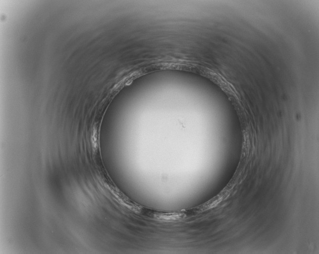 X0000087400479200704200957