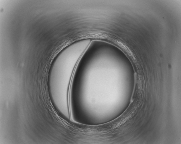 X0000087400481200704200956