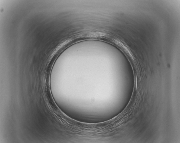 X0000087400483200704200956