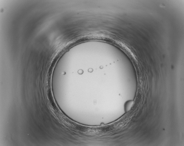 X0000087400487200704200956