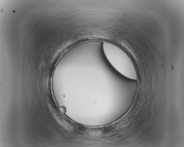 X0000087400491200704200956