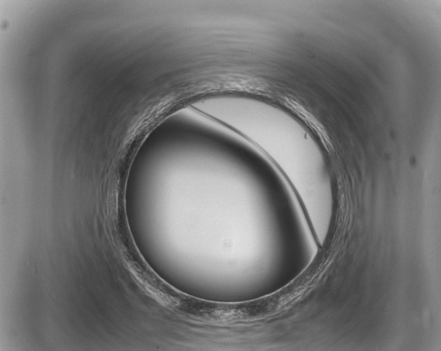 X0000087400493200704200956