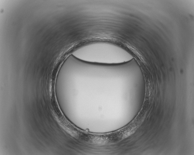 X0000087400494200704200956