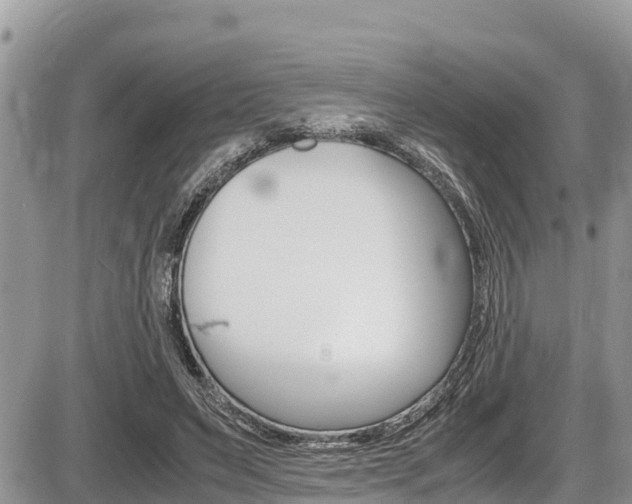 X0000087400495200704200956