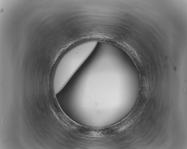 X0000087400496200704200956