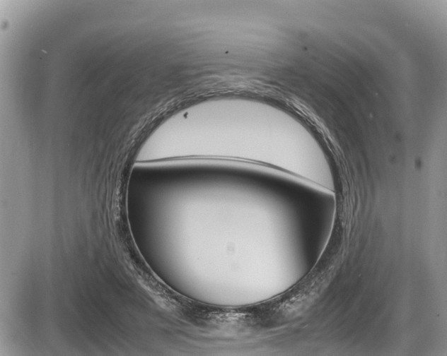 X0000087400497200704200956