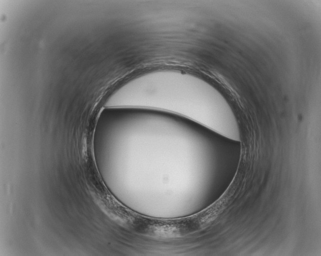 X0000087400500200704200956