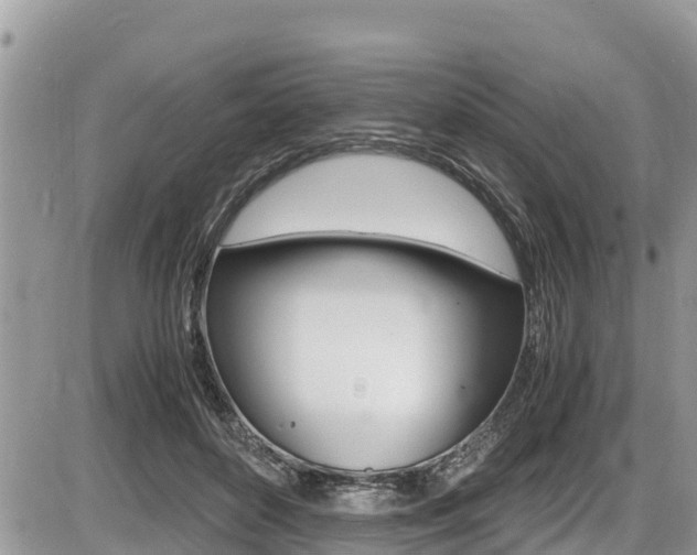 X0000087400504200704200956