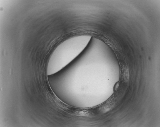 X0000087400506200704200956