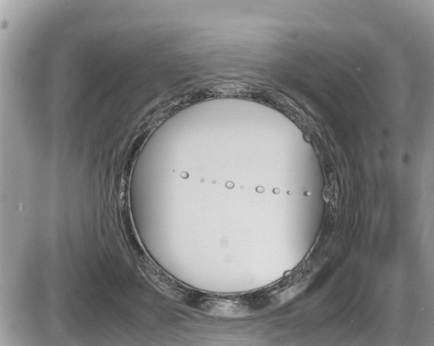 X0000087400507200704200956