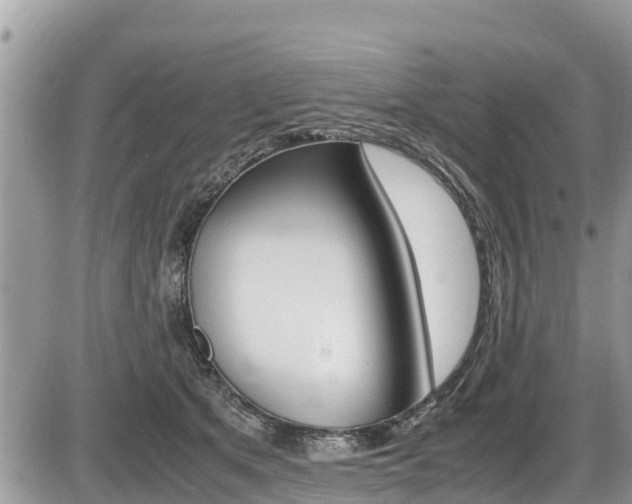 X0000087400513200704200956