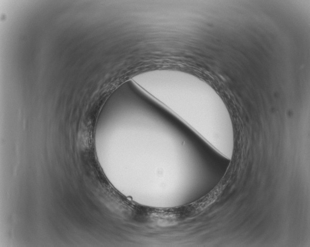 X0000087400515200704200956