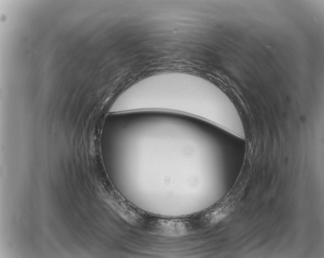 X0000087400520200704200956