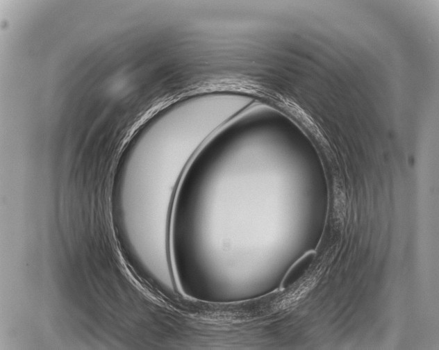X0000087400530200704200955