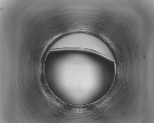 X0000087400540200704200955
