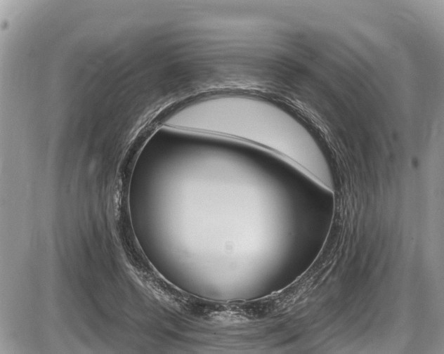 X0000087400544200704200955
