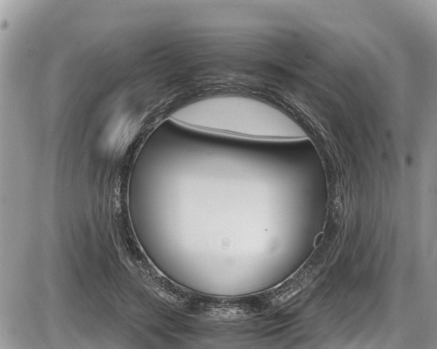 X0000087400547200704200955