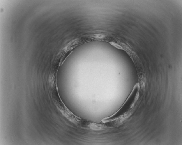 X0000087400568200704200956