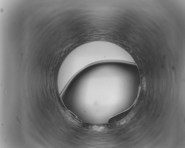 X0000087400570200704200956