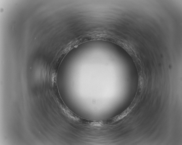 X0000087400574200704200956