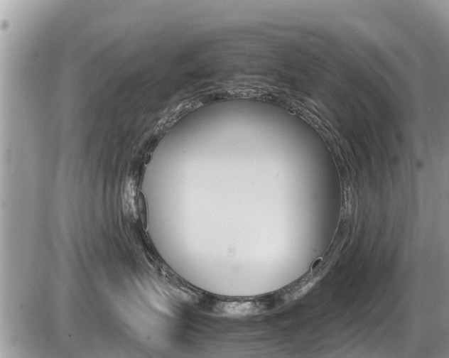 X0000087400575200704200956