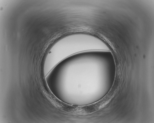 X0000087400589200704200955