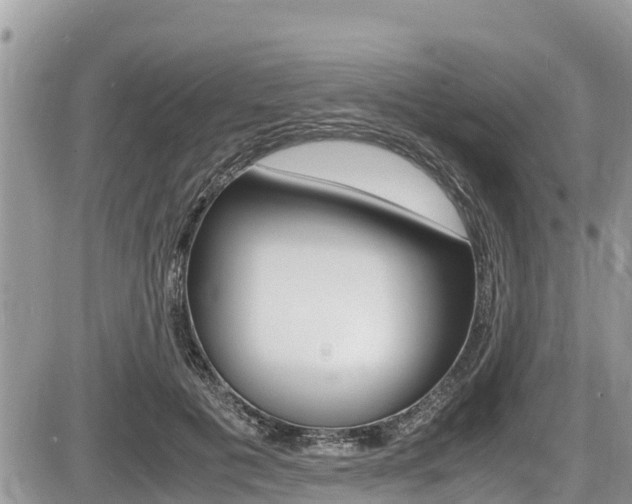 X0000087400601200704200954