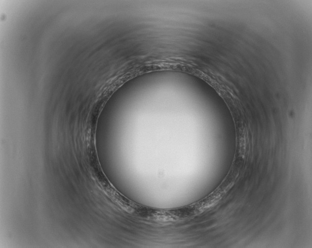 X0000087400608200704200954