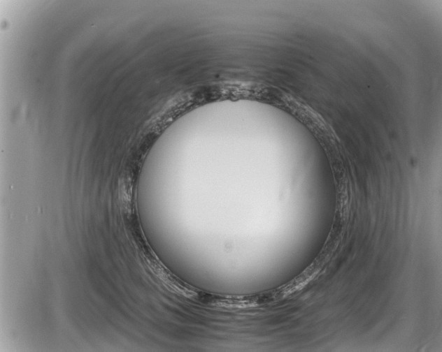 X0000087400661200704200954