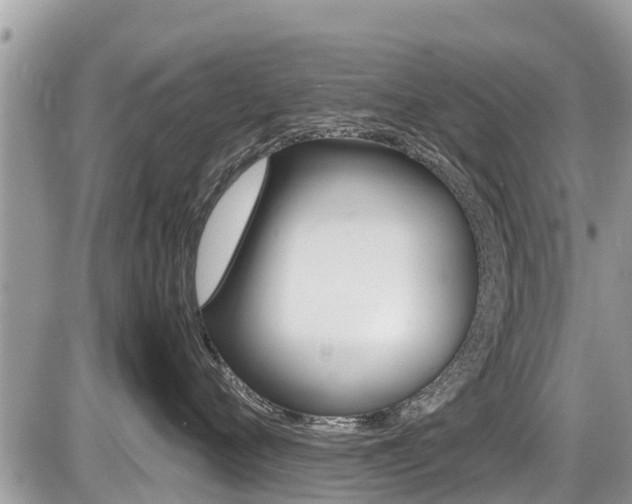 X0000087400720200704200953
