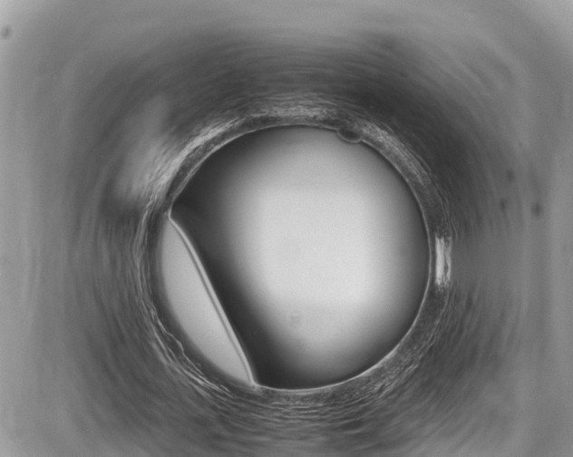 X0000087400723200704200952