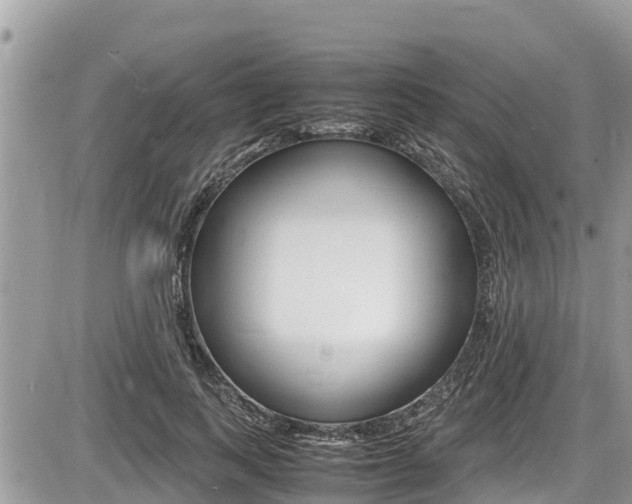 X0000087400743200704200952