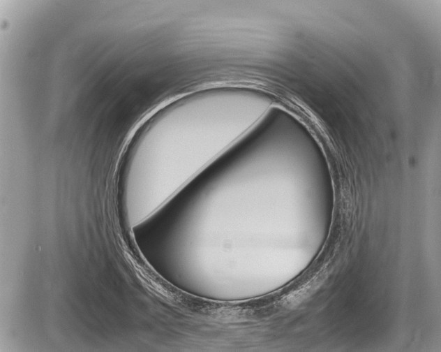 X0000087400779200704200952