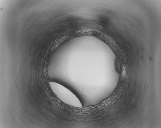 X0000087400819200704200950