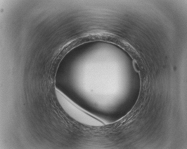 X0000087400822200704200950