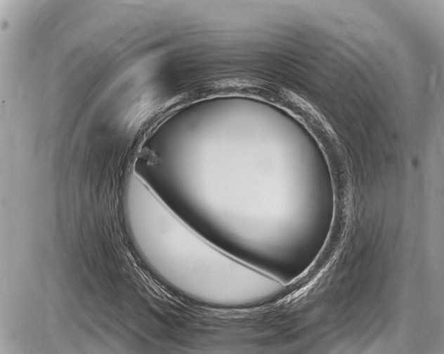 X0000087400825200704200950