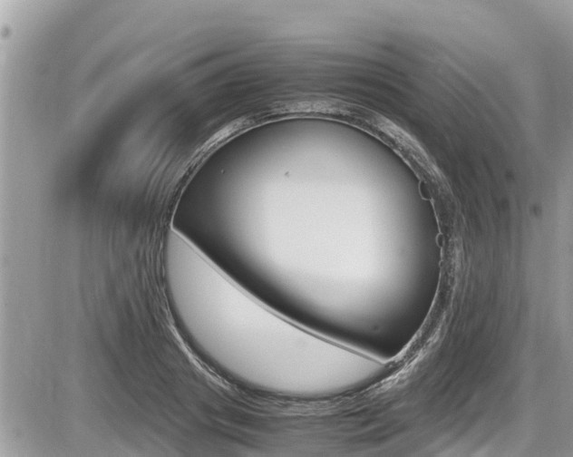 X0000087400841200704200951