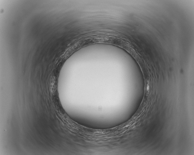 X0000087400867200704200950