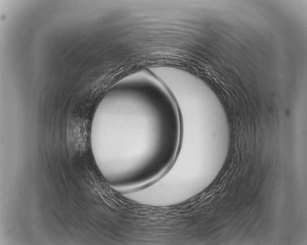 X0000087400868200704200950
