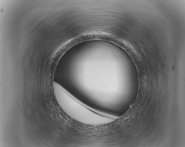 X0000087400872200704200950