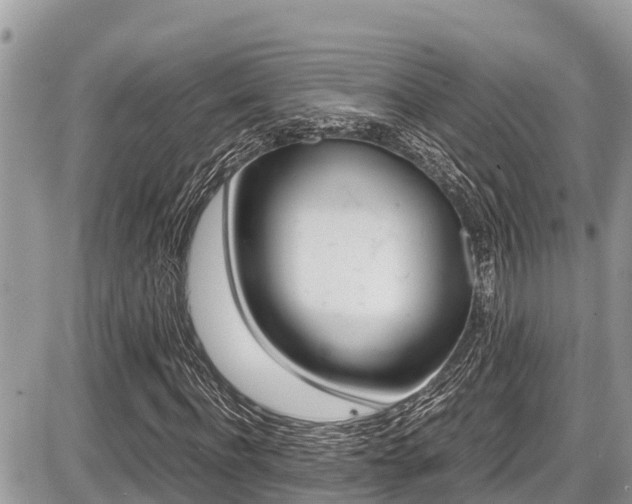 X0000087400916200704200949