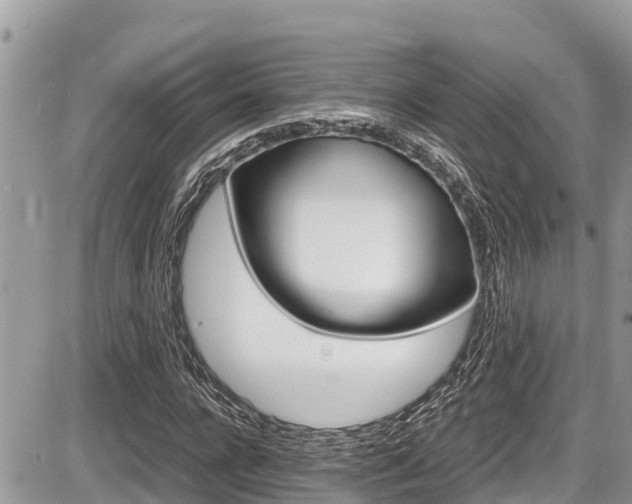 X0000087400920200704200949