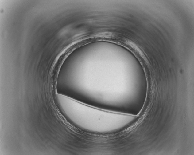 X0000087400923200704200949
